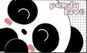 Panda Love