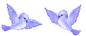 Doves