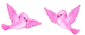 Doves
