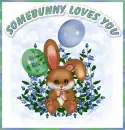 Somebunny loves you
