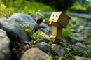 box robot