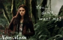 New Moon