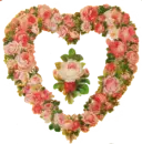 heartroses