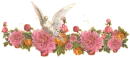 Roses with dove