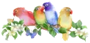 birds with flowers