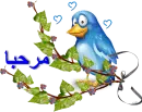 marhaba
