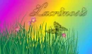 my Name is Lacri - Lacirmosis
