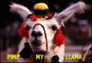 Pimp My Llama