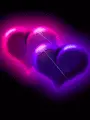 hearts