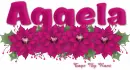 Aggela
