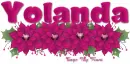 Yolanda