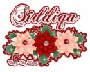 Siddiqa