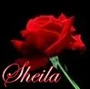 SHEILA WITH ROSE