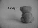 Lonely Bear