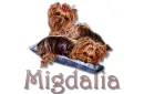 name Migdalia with puppies