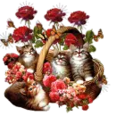 Kittens in basket