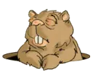 groundhog
