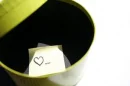 love isnt real