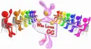 who loves GG