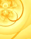Flower Background