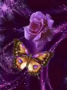 glitter butterfly