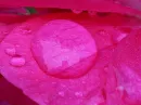 rain drop