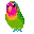 bird