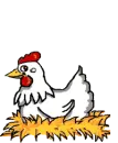 chicken