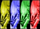 colorful hayley
