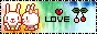 love bun-bun~