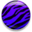Zebra Print