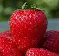 the strawberry on the top