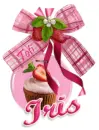 Iris... delicious bow