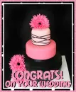 Congrats! On Your Wedding