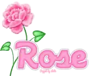 Rose