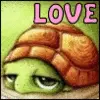 Turtle Love