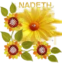 nadeth