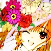 kobato