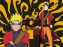 sennin 6