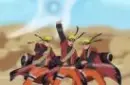 sennin 8