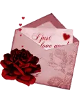 I Just love you!