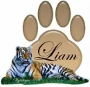 Tiger with paw print - Liam