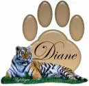 Tiger with paw print - Diane