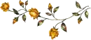 Yellow Roses