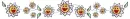 Smilin Daisies