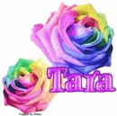 Tara