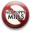No Puppy Mills