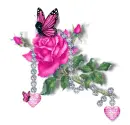 PINK ROSE