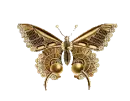 GOLDEN BUTTERFLY