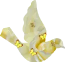 YELLOW BIRD N BUTTERFLIES